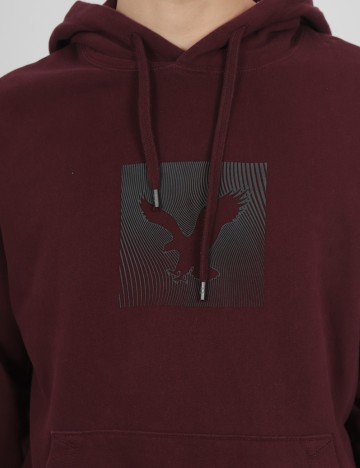 Hanorac American Eagle, visiniu