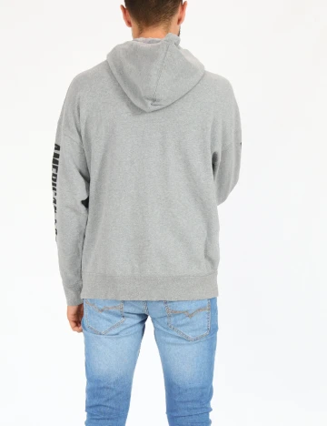 Hanorac American Eagle, gri