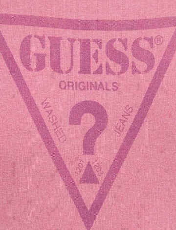 Top Guess, roz