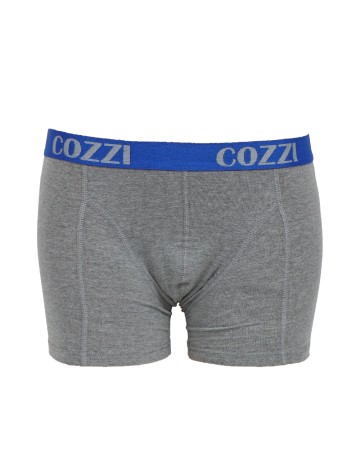 Set Boxeri 2 perechi Cozzi, albastru/gri