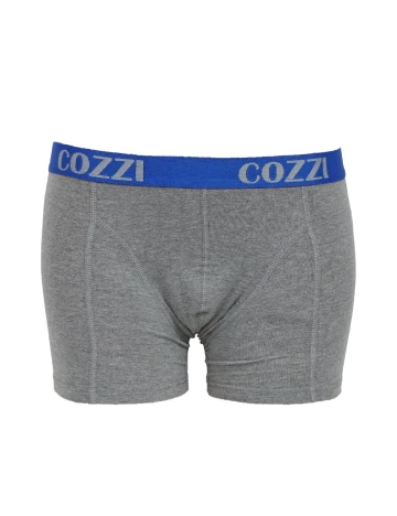 Set Boxeri 2 perechi Cozzi, albastru/gri Mix culori