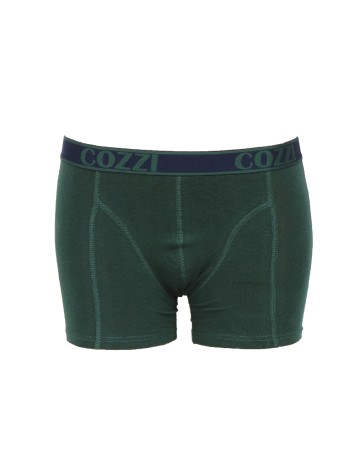 Set Boxeri 2 perechi Cozzi, verde/bleumarin