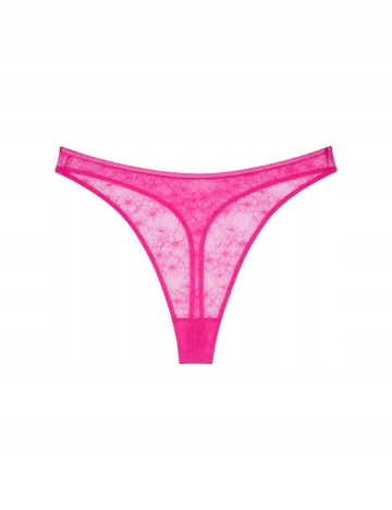 Chilot Triumph, roz Roz