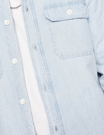 Jacheta Hollister, bleu