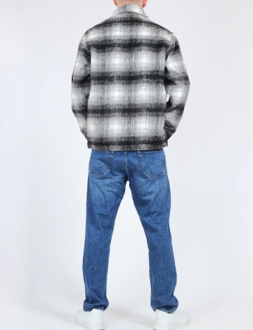 Jacheta Zara, gri Gri