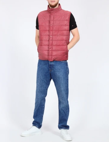 Vesta SHEIN, visiniu