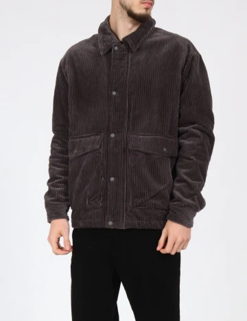 Jacheta Zara, gri Gri