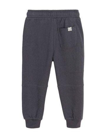 Pantaloni Cool Club, gri