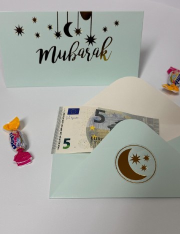 Set plicuri 10 bucati AVEC, verde