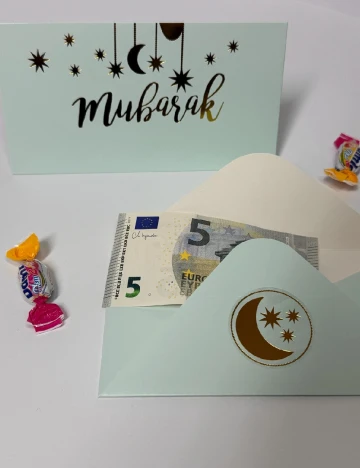 Set plicuri 10 bucati AVEC, verde