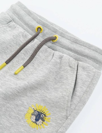 Pantaloni Cool Club, gri