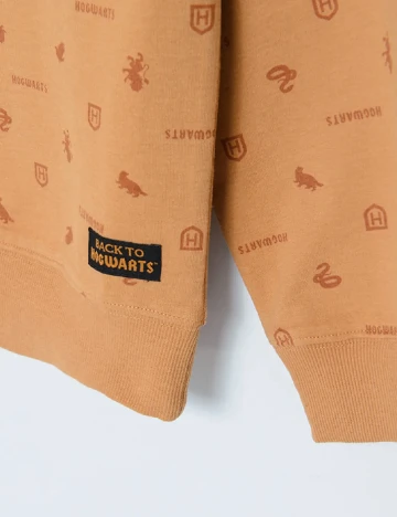 Bluza Cool Club, maro