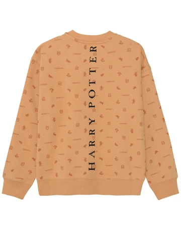 Bluza Cool Club, maro