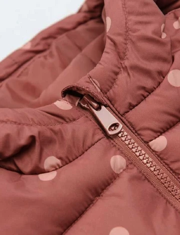 Vesta Cool Club, roz