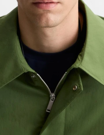 Jacheta Zara, verde Verde