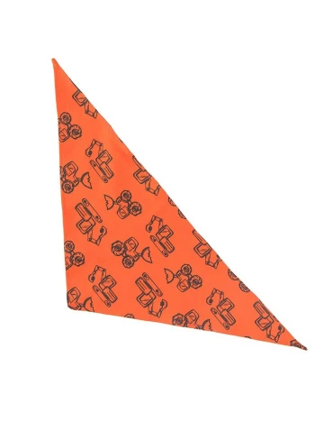 Set caciula si bandana Cool Club, portocaliu