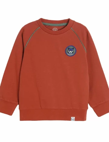 Bluza Cool Club, maro