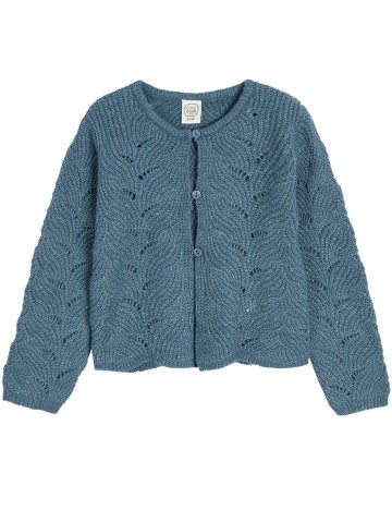 
						Cardigan Cool Club, albastru