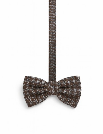 
						Papion Zara, mix culori