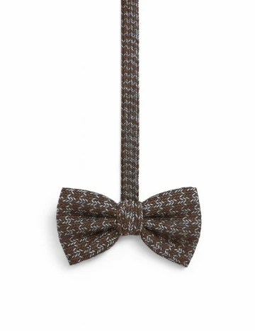 Papion Zara, mix culori