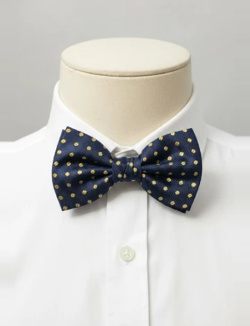 Papion Zara, bleumarin inchis