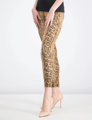 Colanti Bershka, animal print Animal print